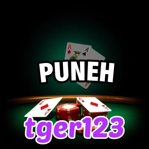tger123 Game Puzzle